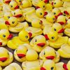 Uphill Duck Race